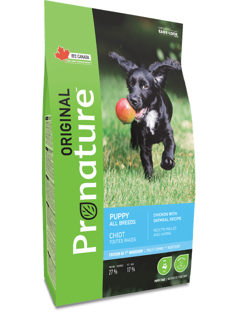 pno_fiche-produit_chiot_pouletavoine