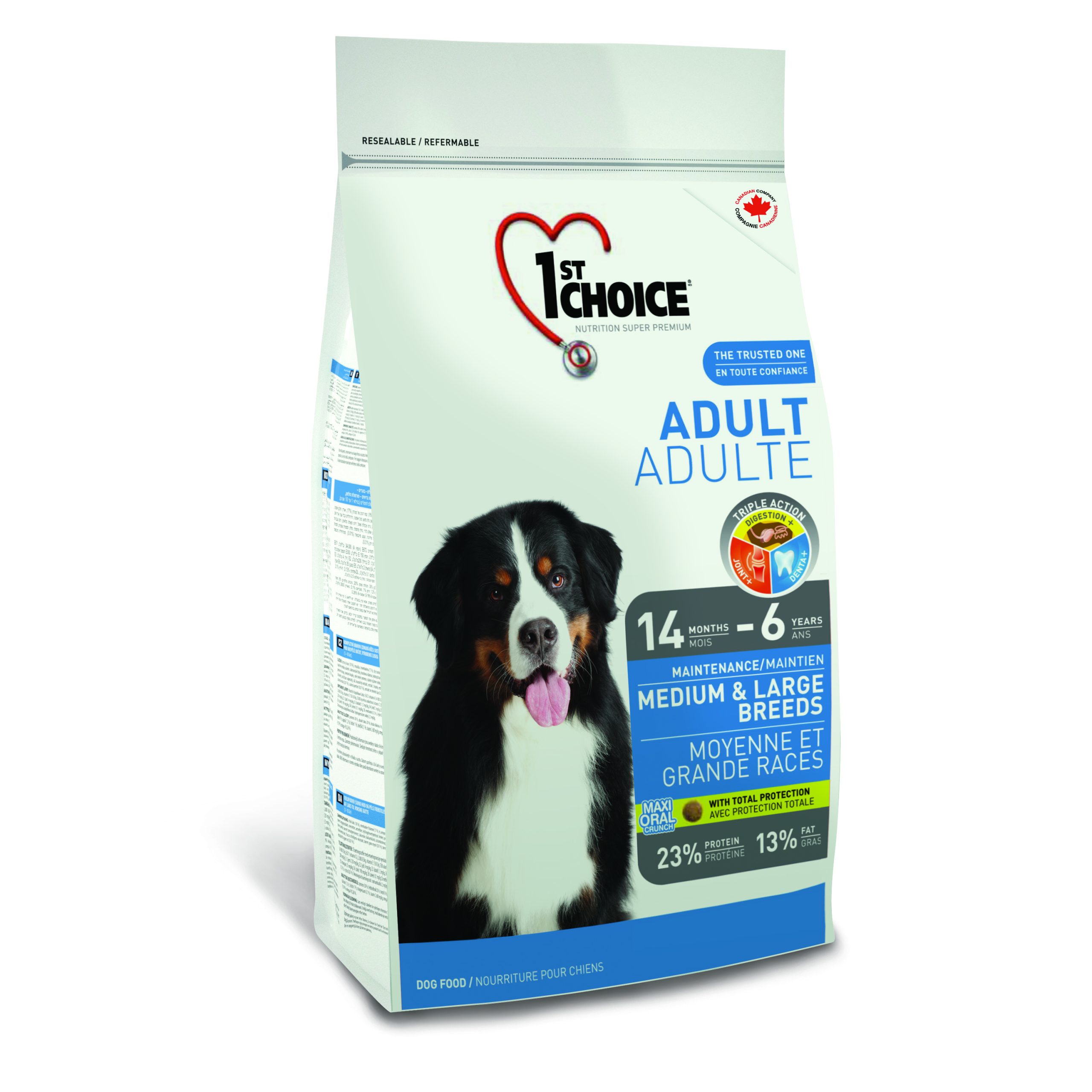 1st Choice <br> Maintenance - Medium & large breed