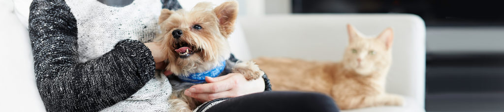 2_1_1st_Choice_header_0