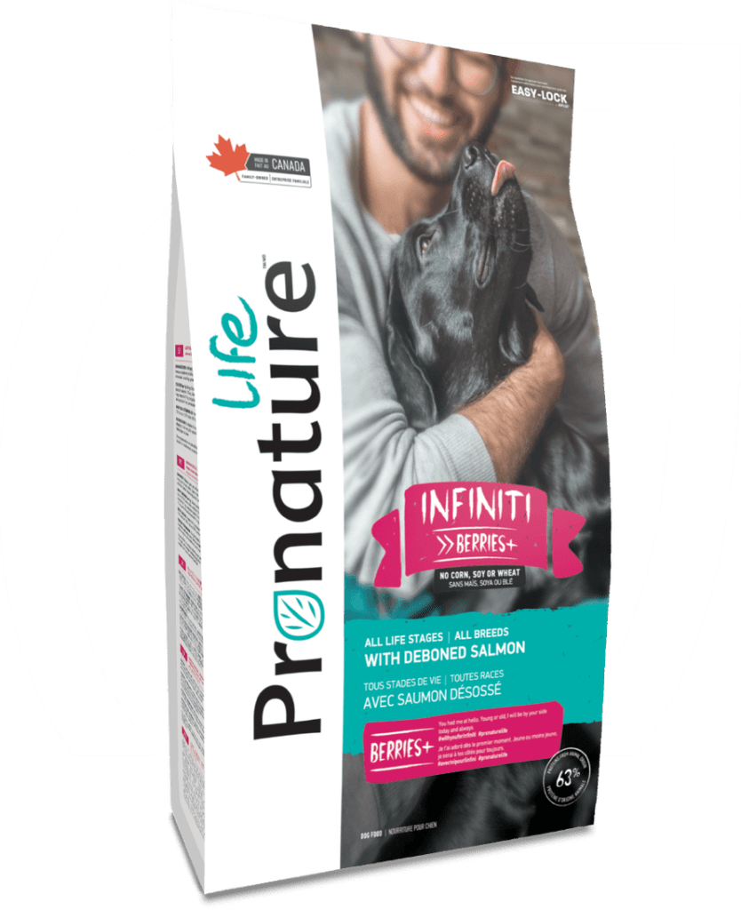 pnl_fiche-produit_chien_infiniti_epuAIWd