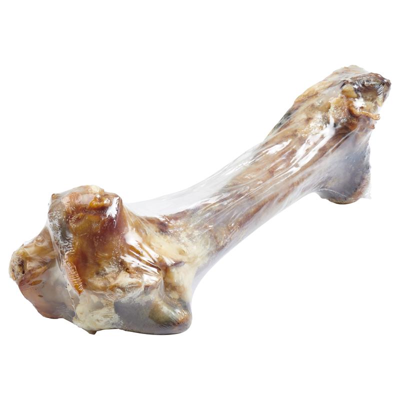 Bellerive <br> Beefy Dino Bone