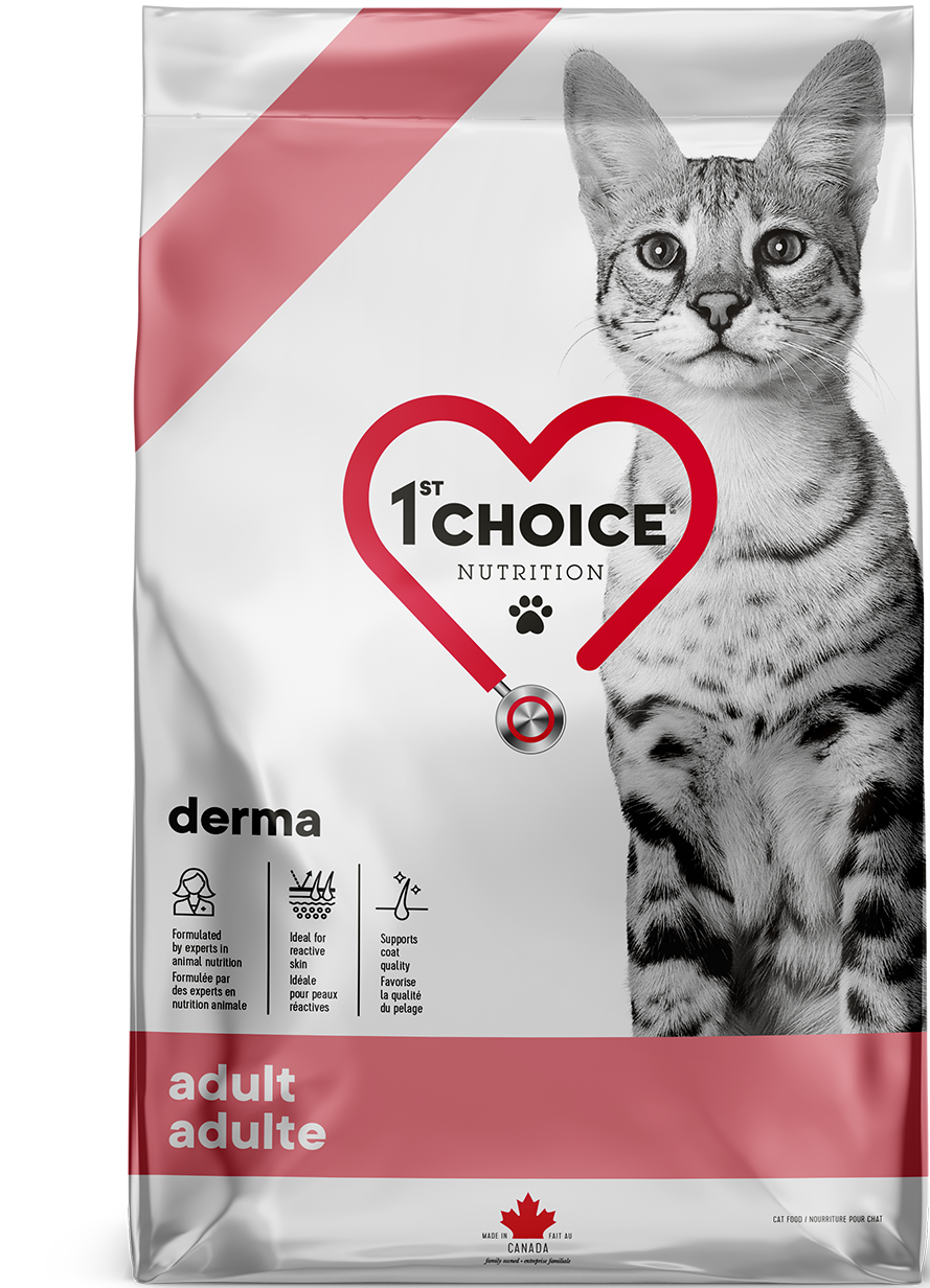 1st Choice Derma