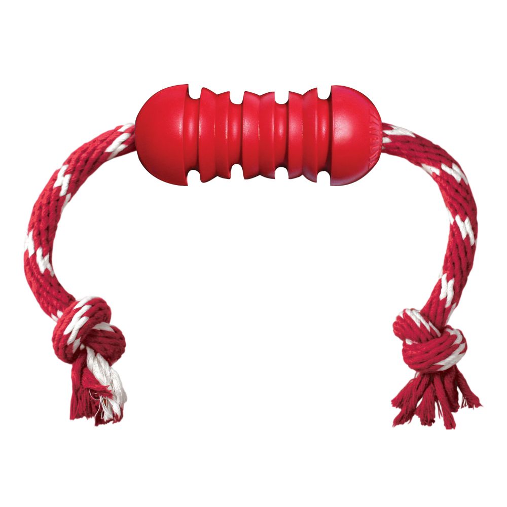 KONG Dental Toy With Rope
